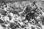 Dead prisoners in a mass grave — after the liberation. (IPN)