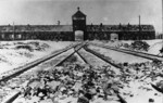 The entrance gate to the Auschwitz-Birkenau camp. January 1945. (IPN)
