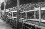 Piles of shoes in a Majdanek barrack. Photograph taken after the liberation of the camp in July 1944. (IPN)