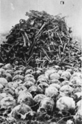 Skulls and bones of victims of the concentration camp at Majdanek unearthed during exhumation in the autumn of 1944. (IPN)