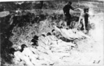 A mass execution in the Stutthof concentration camp. (IPN)